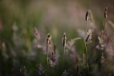 《力之奴仆：重见天日》现已登陆PC＆主机平台
